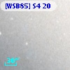 [WSB85] S4 20