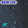 BASW 234
