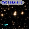 TYC 3169-1-1