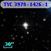 TYC 3978-1426-1