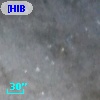 [HIB95]  14-2