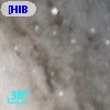 [HIB95]  17-1