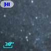 [HIB95]  31-11