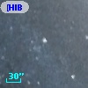 [HIB95]  34-2