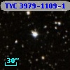 TYC 3979-1109-1