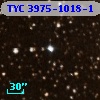 TYC 3975-1018-1