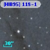 [HIB95] 118-1