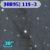 [HIB95] 118-3