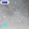 [HIB95]  13-2