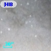 [HIB95]  13-3