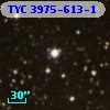 TYC 3975-613-1