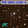 TYC 3975-1242-1