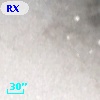 RX J004242.9+412031