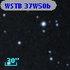 WSTB 37W50b