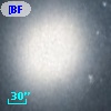 [BFS98] J004240.980+405148.49