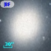 [BFS98] J004241.681+405155.88