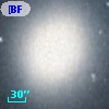 [BFS98] J004241.710+405149.01