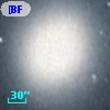[BFS98] J004241.736+405148.42