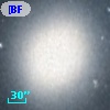 [BFS98] J004241.778+405157.86
