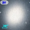 [BFS98] J004241.781+405157.25