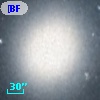 [BFS98] J004241.787+405156.88