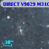 DIRECT V9029 M31C