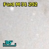 Ford M 31 202