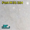 Ford M 31 214