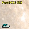 Ford M 31 523