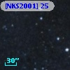 [NKS2001] 25