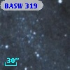 BASW 319
