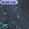 BASW 318