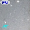 [VRJ2006] M31V-J00431638+4123376