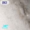 [SI2001] 1992-02