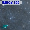 [WB92a] 300