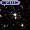 HD 239680