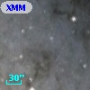 XMMM31 J004209.4+412008