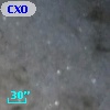 CXOM31 J004214.2+412105