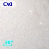 CXOM31 J004220.3+411313