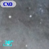 CXOM31 J004259.1+412613