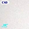 CXOM31 J004301.7+411814