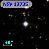 NSV 13735