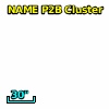 NAME P2B CLUSTER