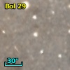 Bol  29