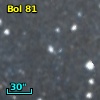 Bol  81