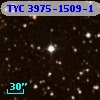 TYC 3975-1509-1