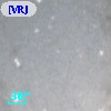 [VRJ2006] M31V-J00431584+4123052