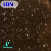 LDN 1099