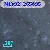 [MLV92] 265895