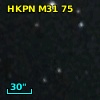 HKPN M31  75